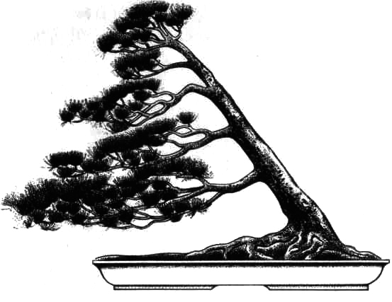 FUKINAGASHI - „strom ošlehaný vichřicemi“